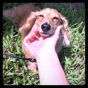 Meet your Posher, Sarah